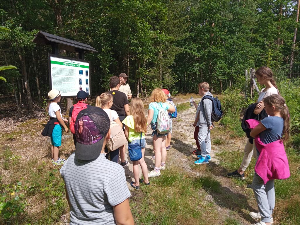 dzieci i leśniczy stojących przy tablicy edukacyjnej w lesie w trakcie zajęć